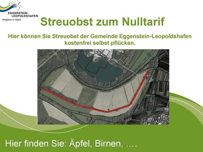 Obst zum Selbstpflücken finden Sie an gemeindeeigenen Bäumen, die so ausgeschildert sind.