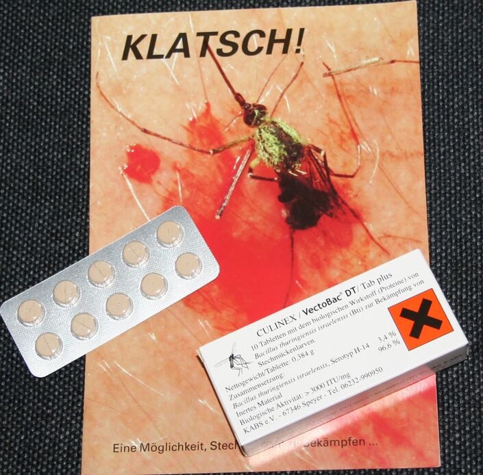 Infoblatt der KABS Klatsch! im Rathaus erhältlich