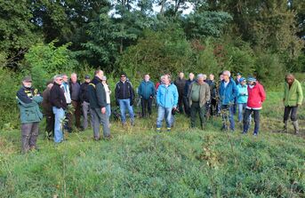 Eichenwald als Auslgeich zur Damm 30-Sanierung