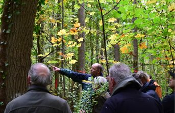 Waldbegang 2016: Förster Friedhelm Booms führt die interessierte Gruppe durch sein Revier und zeigt die Entwicklung "seines" Waldes.