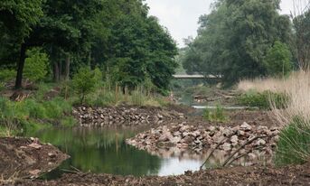 gelungene Renaturierung Mai 2014