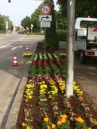 Ausgewählte Flächen werden repräsentativ bepflanzt