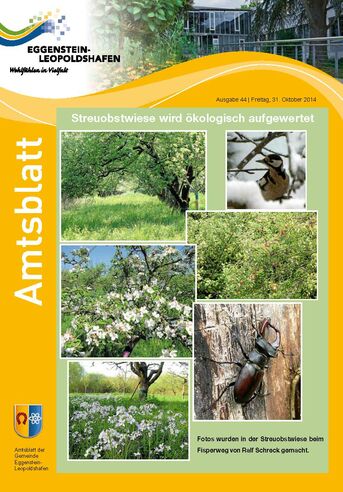 Streuobstwiesen - wichtiger Lebensraum