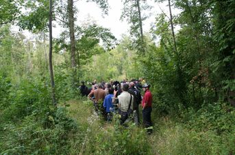 Waldbegang 2015 - einer der Zwischenstopps