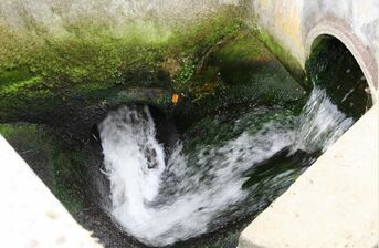 Sauberes Wasser fließt in den Rhein