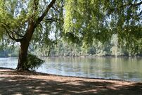 Allgemeines zum Wald