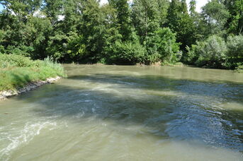 Einlauf in die Alb