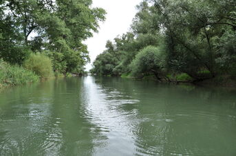 Hafenmündung Hochwasser