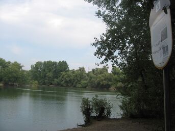 Schild 3 des Auenpfades Silberweiden / Schmugglermeer