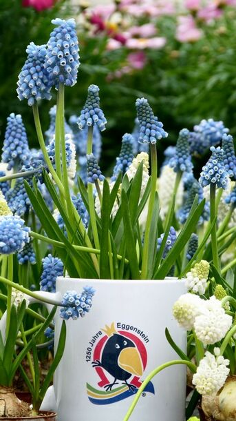 Tassen je 4 € mit hochwertigem Fotodruck (ohne Inhalt), Foto: Ralf Schreck