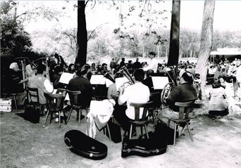 Foto Orchester 1990, pr/Lyra-Archiv Um 1990 wurde das „Lyra“-Orchester an der „Belle“ mit Leiter Mathias Dürr abgelichtet. 