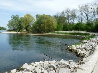 Belle - Idylle in den Rheinauen 2019 von Alexander Werner