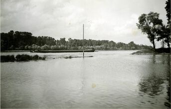 Foto 50er-Jahre Gemeindearchiv Als idyllischer Ort am Rhein wird die „Belle“ in Eggenstein schon sehr lange gerühmt. Das Foto stammt vermutlich aus den 50er-Jahren. Die legendäre Pappel war da längst Geschichte. 