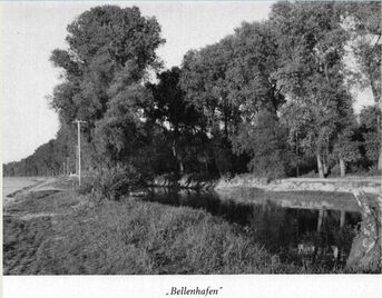 Foto um 1960/Gemeindearchiv Vermutlich um 1960 entstand das Foto der „Belle“. Veröffentlicht wurde es in der alten Eggensteiner Chronik von 1965