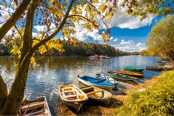 Fähre Sophie im Alten Hafen in Leopoldshafen, Foto Berger Designer