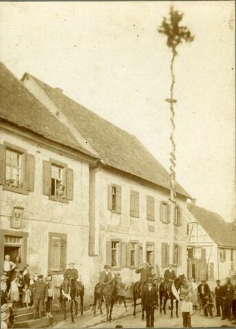 Bürgermeisterbaum 1909 vor dem Haus von Karl Ueberle in der Leopoldstraße aufgestellt (Amtszeit 1909 - 1918).